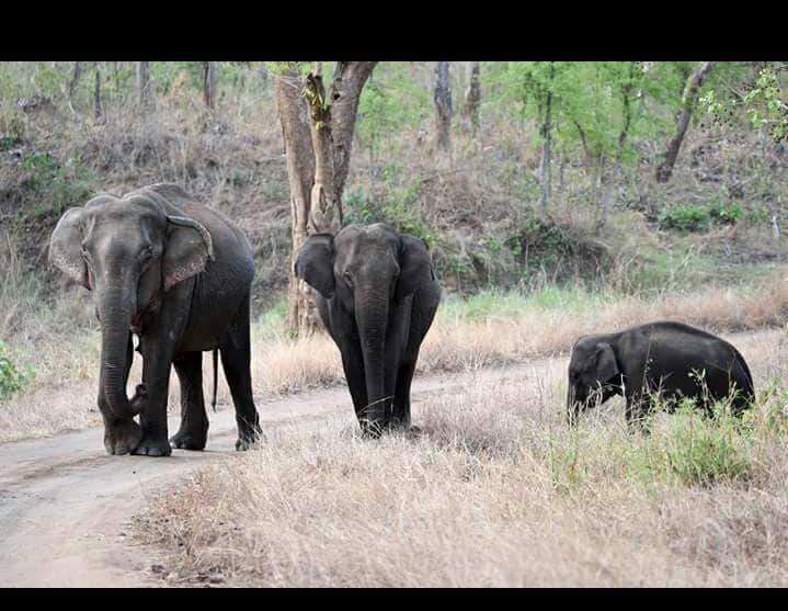 FB_IMG_1512569987904